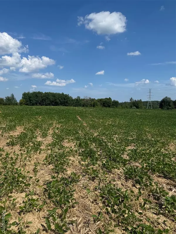 Dryden, MI 48428,VL S Mill Road