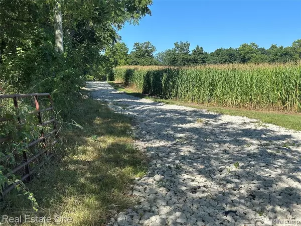 360 N Hadley Rd, Ortonville, MI 48462