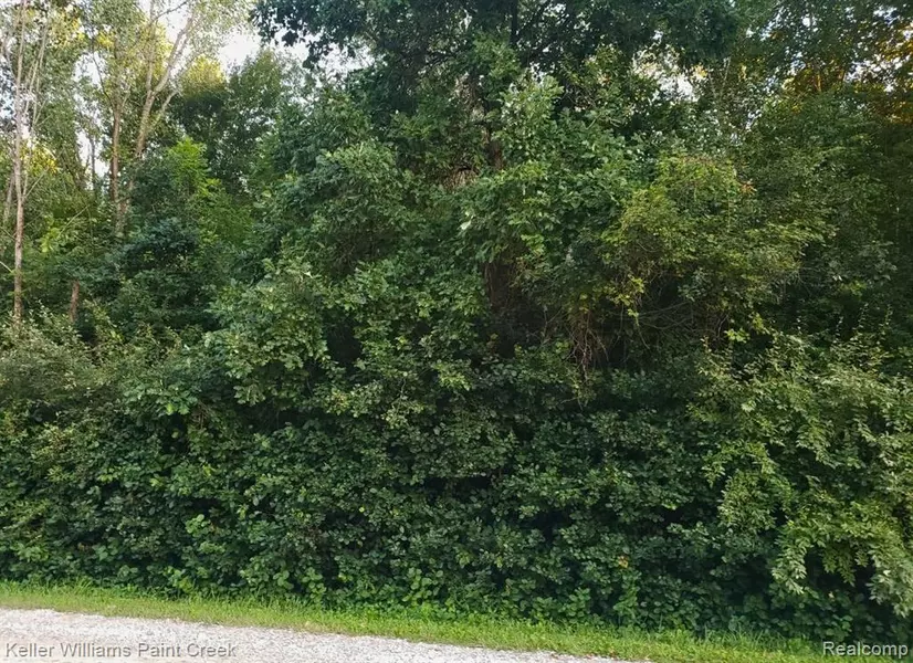 00 Puttygut Road, Casco, MI 48064 2402