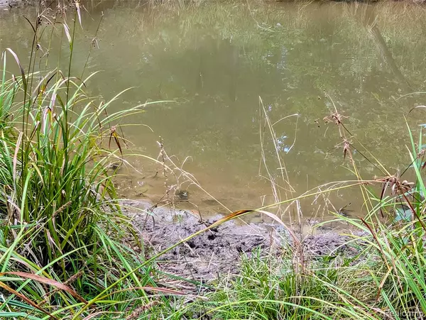 Ashley, MI 48806,0 S Maywood Road