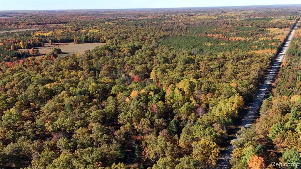 0 Grim Road, Bentley, MI 48613
