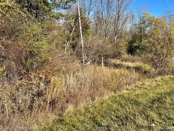 0 N Corunna Road, Swartz Creek, MI 48473