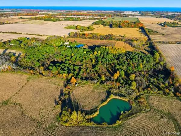 Applegate, MI 48401,TBD Walker Road