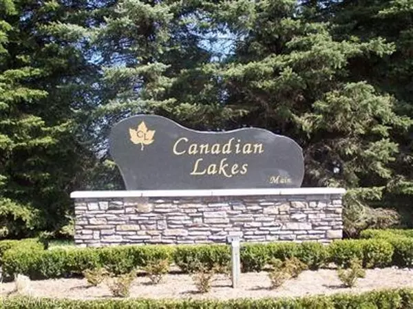 Canadian Lakes, MI 49346,11747 NEWCASTLE Drive