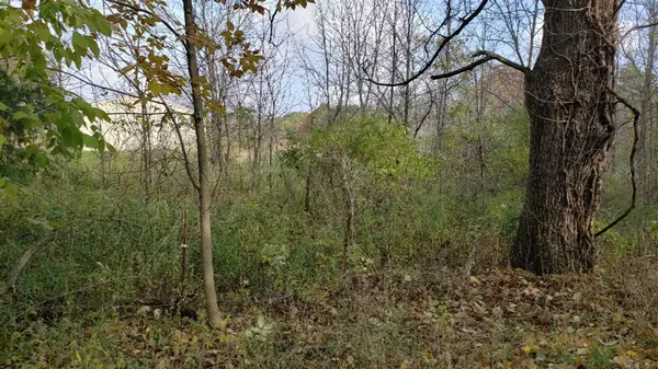 Pullman, MI 49450,5857 106th Avenue