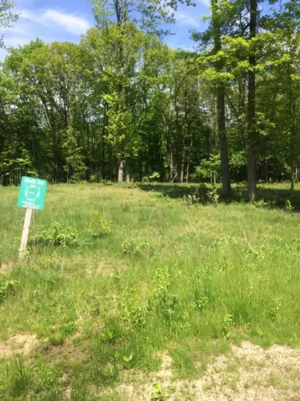 Dowagiac, MI 49047,Misty Pines Lot 24