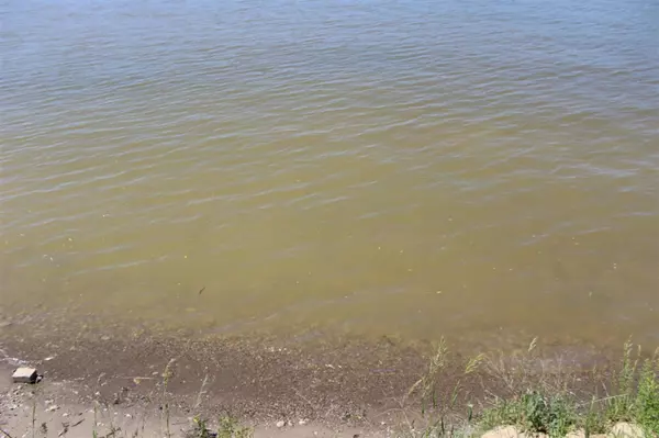 Camden, MI 49232,14692 W Lakeshore Drive