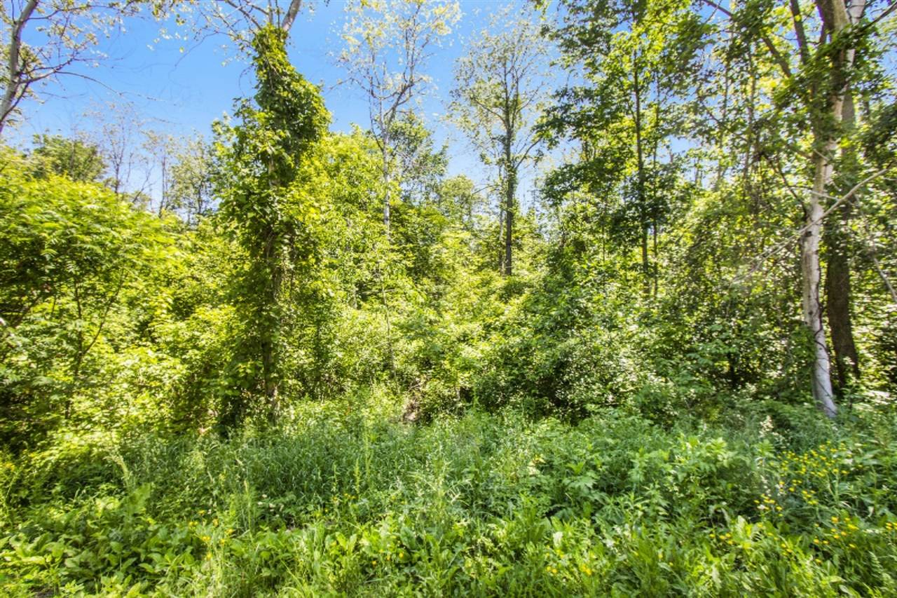 8082 Herrington Avenue, Belmont, MI 49306