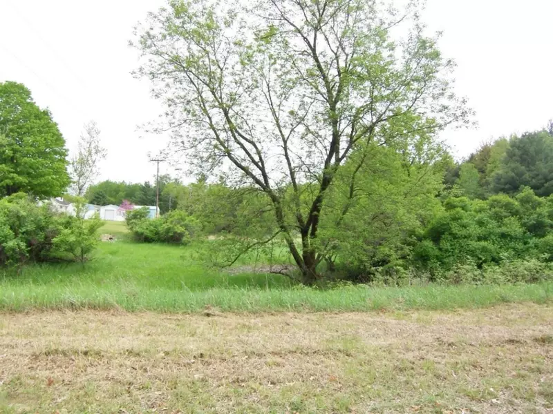 Lot 24 Ridge Road, Evart, MI 49631