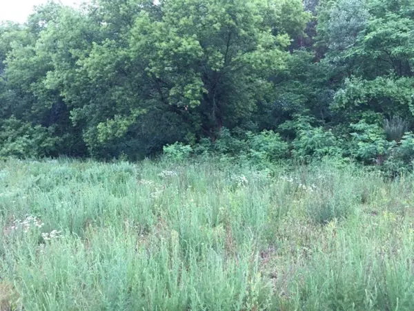 4929 Streamside Pointe Drive, Ada, MI 49301