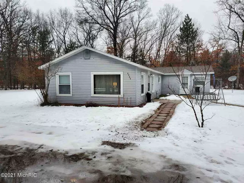 6066 W 10 1/2 Mile Road Road, Irons, MI 49644