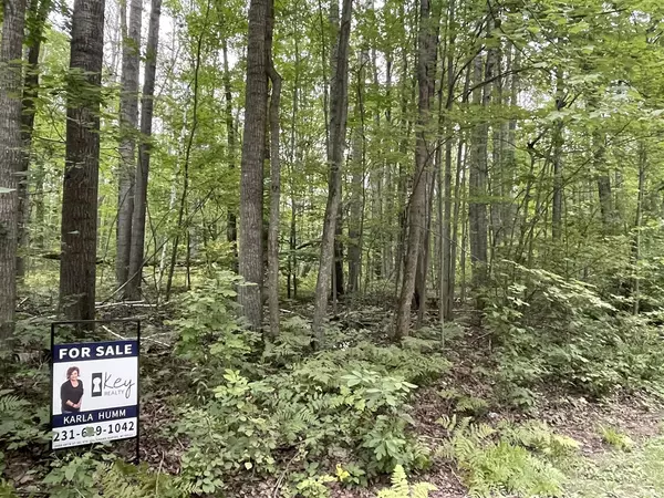 Reed City, MI 49677,Lot #216 Lucerne Drive