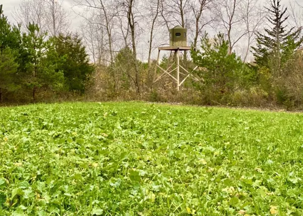 Kelly Road, Flushing, MI 48433