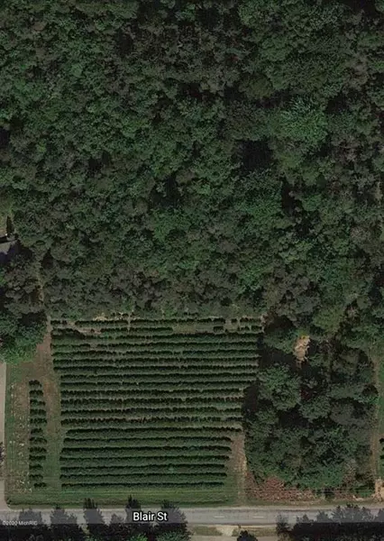 0 Blair Street, West Olive, MI 49460-9730