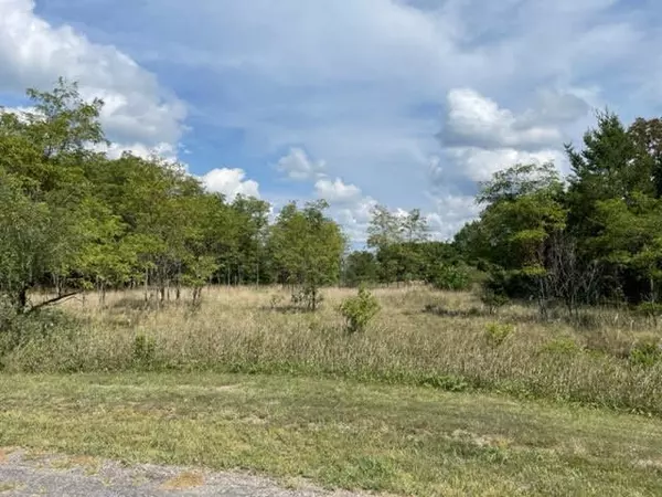 Manistee, MI 49660,Willow