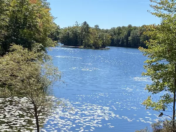 Canadian Lakes, MI 49346,9220 Ranger Drive