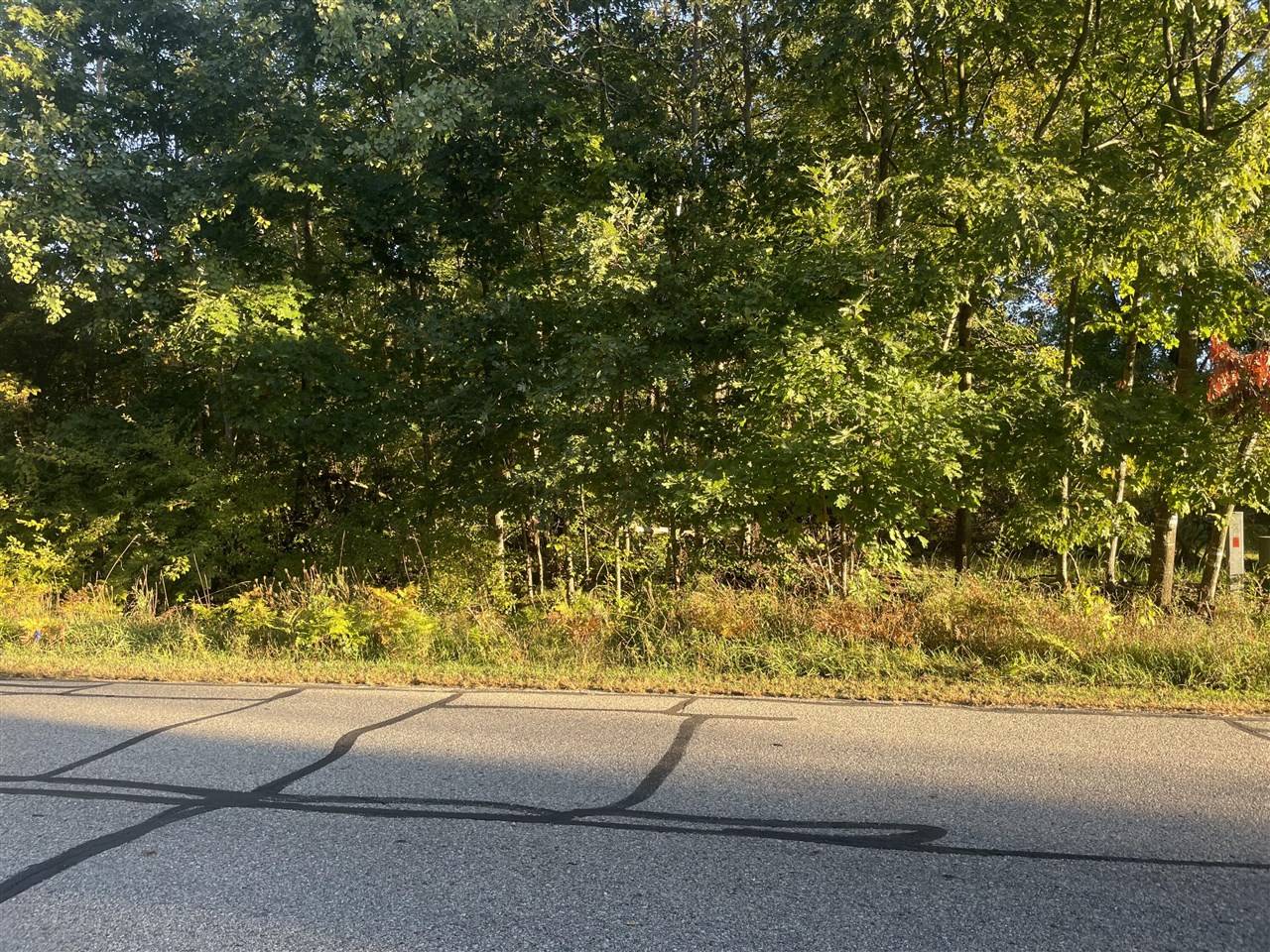 1012 Cordoba Lane, Lake Isabella, MI 48893