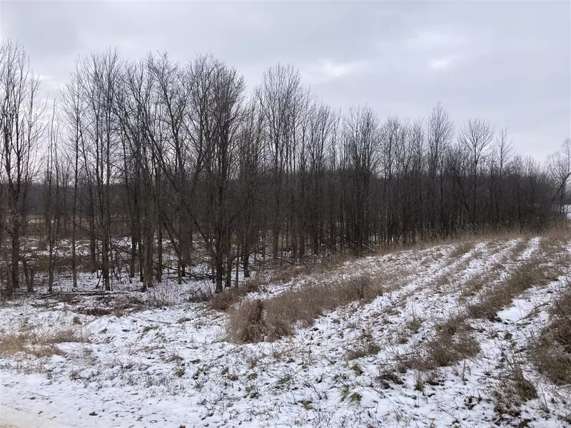 Lot 1 Cunningham Road, Freeport, MI 49325