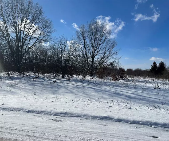 Vacant Lot, Shelby, MI 49455