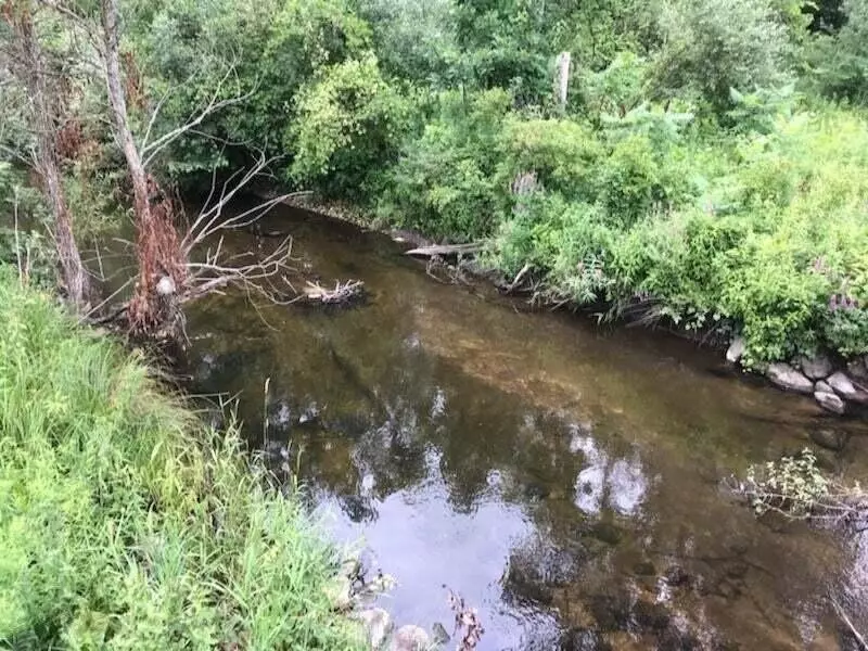 14551 Algoma Avenue, Cedar Springs, MI 49319