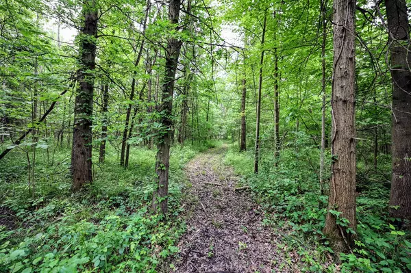 Bangor, MI 49013,27015 50th ST