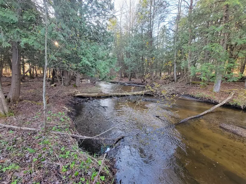 3.08 Acres Wilderness Trail, Kaleva, MI 49645