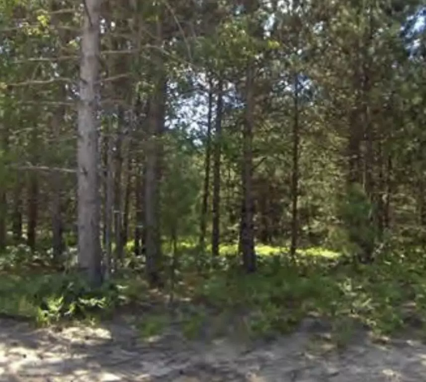 Kaleva, MI 49645,Bergstrom Drive