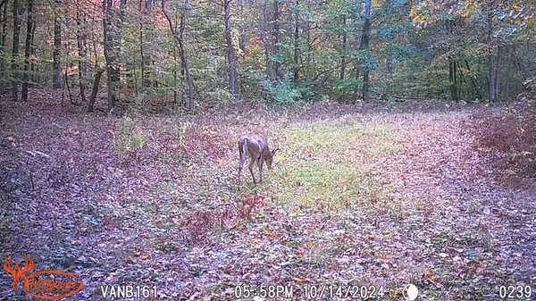 Grand Junction, MI 49056,VL BASELINE RD