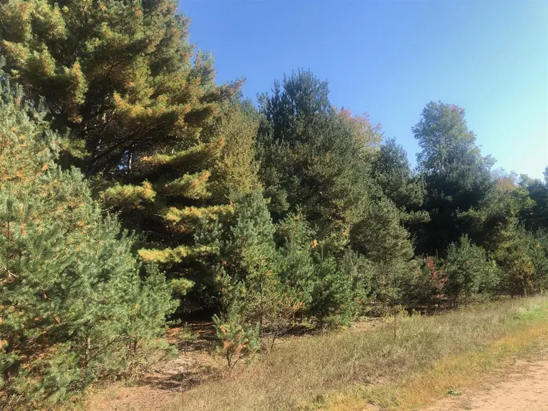 2 Acres Norconk Rd, Bear Lake, MI 49614