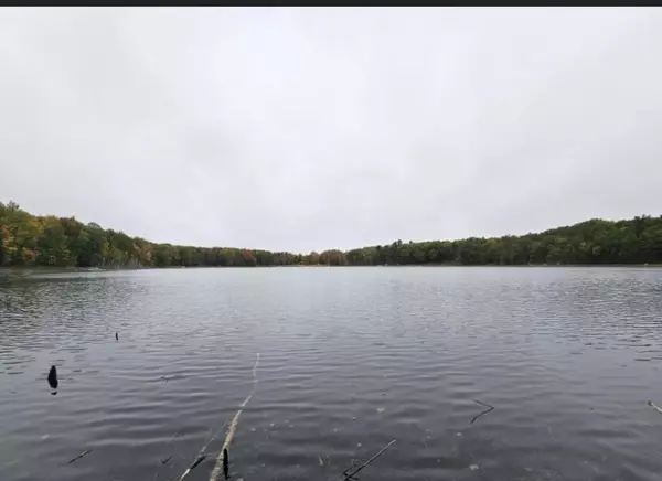 Reed City, MI 49677,Lot 126 Alpine Drive