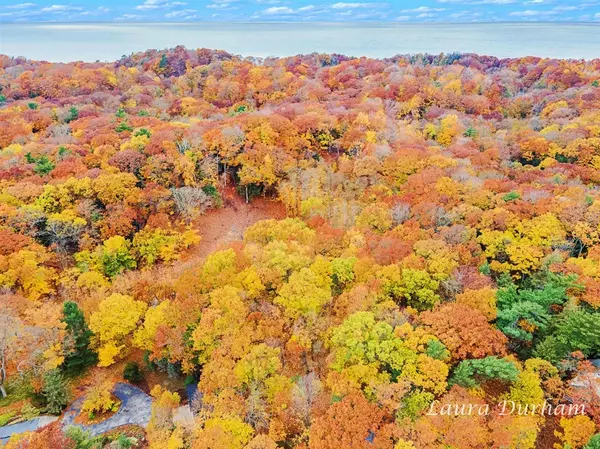 Saugatuck, MI 49453,VL Park Street