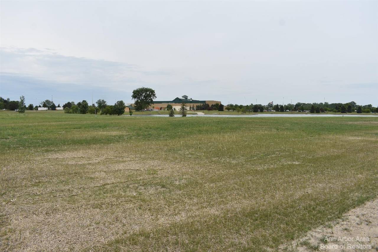 16488 Tecumseh, Dundee, MI 48131