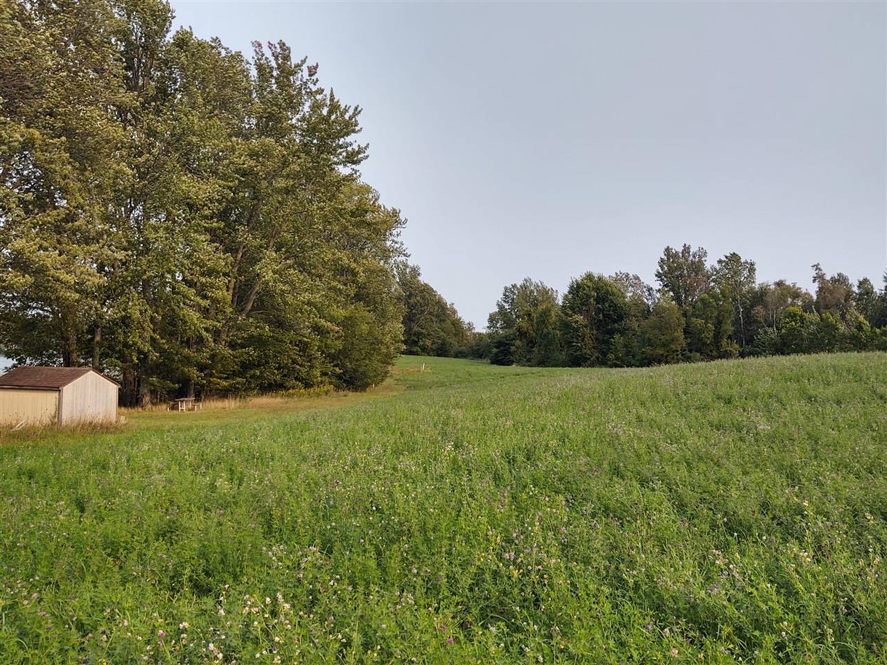 Scottville, MI 49454,W Marrison Road