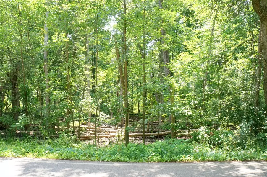 Lot 2 Leora Lane, Jackson, MI 49201