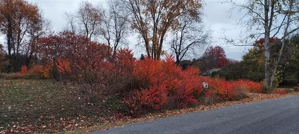 Stanton, MI 48888,Lot 215 E Shore Drive