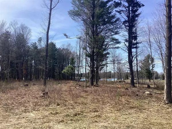 2605 N 34th Avenue, Mears, MI 49436-9439
