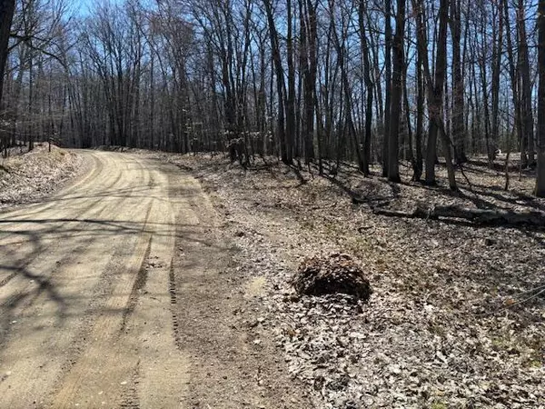 Canadian Lakes, MI 49346,12349 Wagon Wheel Trail