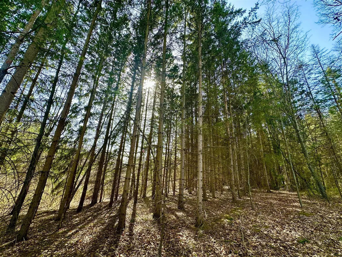 Holly, MI 48442,Buckhorn Lake Road