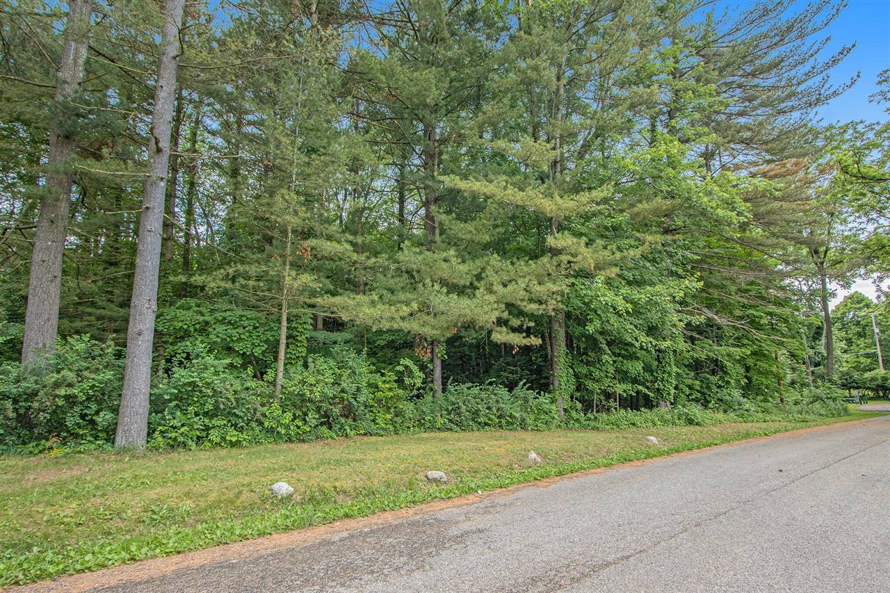 Allegan, MI 49010,171 Thomas Street