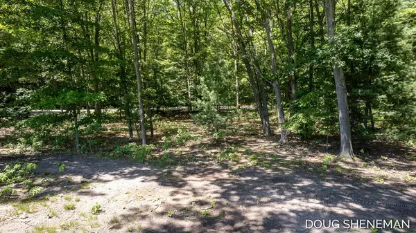 Saugatuck, MI 49453,Parcel 1 66th/135th/Holland St