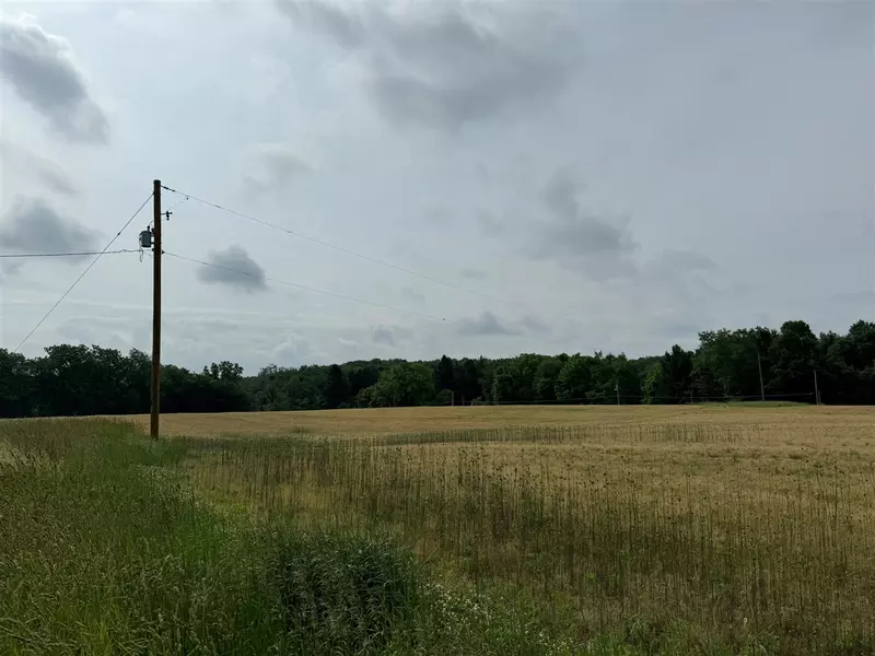 Madron Lake Road, Buchanan, MI 49107