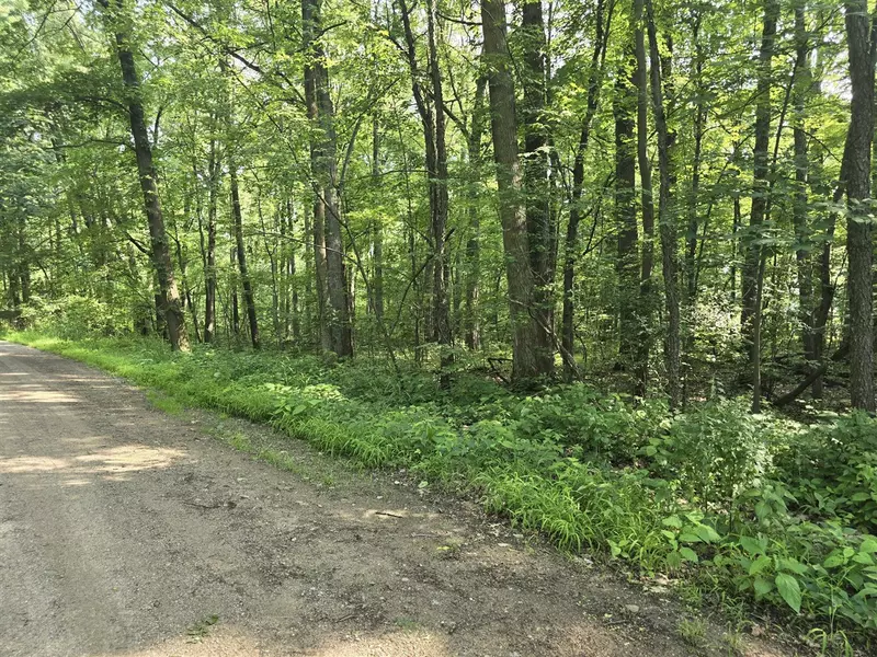 10090 Woodlawn Court, Jerome, MI 49249