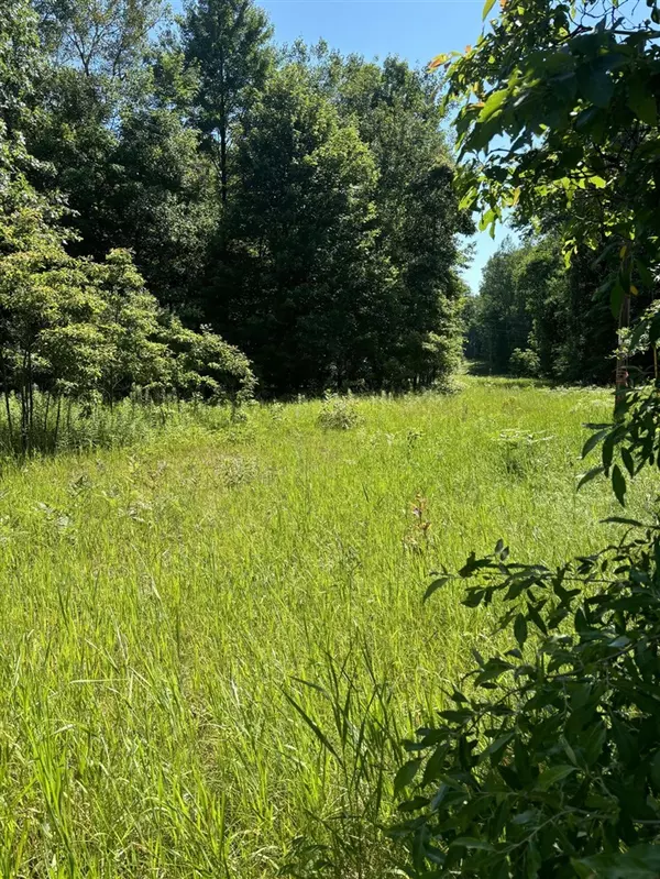 White Cloud, MI 49349,TBD Felch and W Country Trail