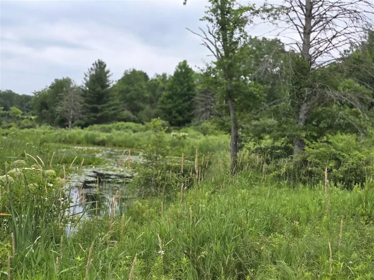 Barryton, MI 49305,00-2 LAKE Road