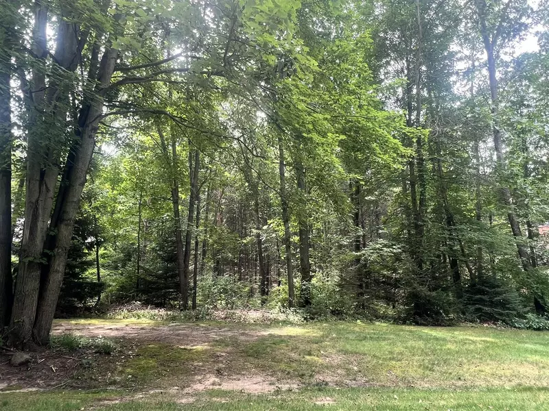 Lot 13 Sanctuary Drive, Jackson, MI 49201