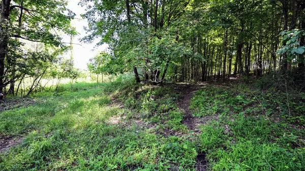 VL Round Lake Rd, Vermontville, MI 49096