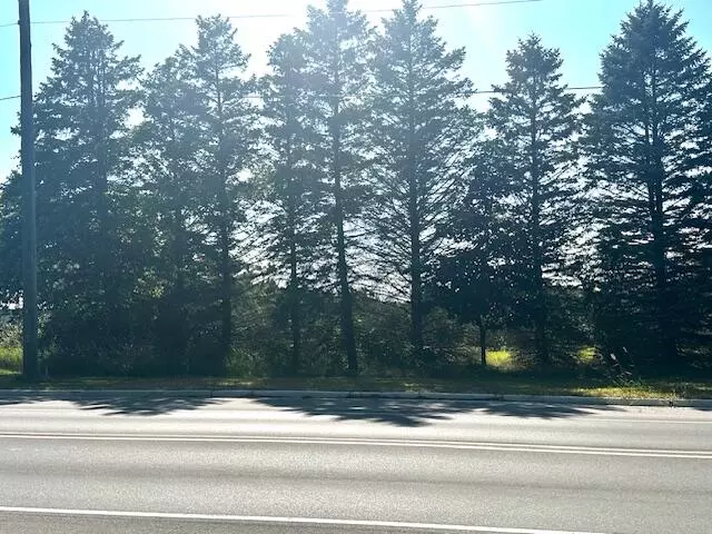 Manistee, MI 49660,1 acre Maple Road