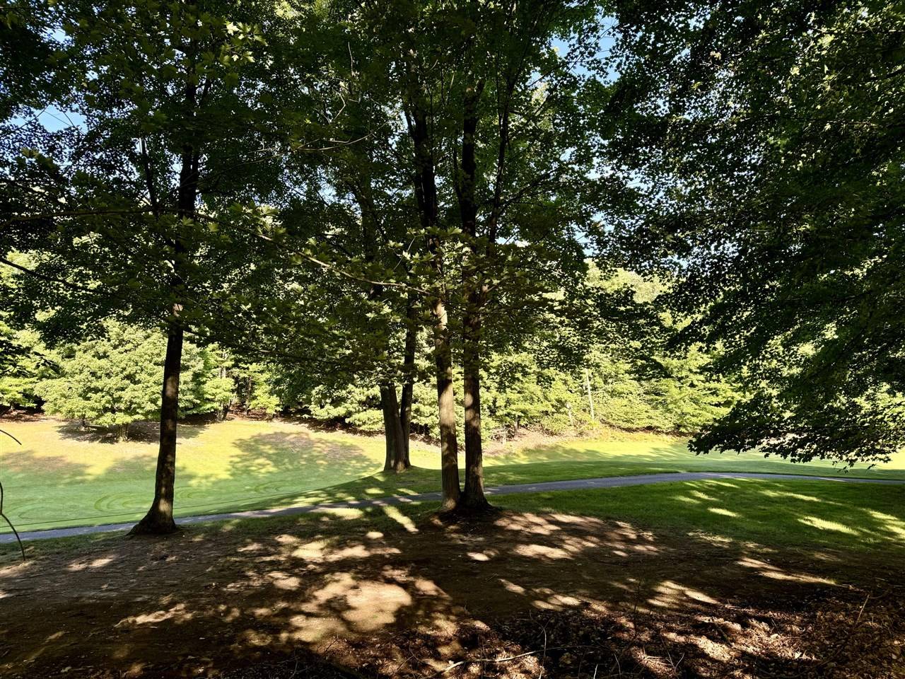 9557 Aberdeen Court, Canadian Lakes, MI 49346-9397