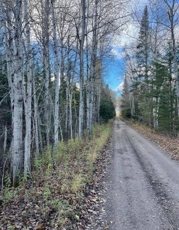 Brimley, MI 49715,11900 W Irish Line Road