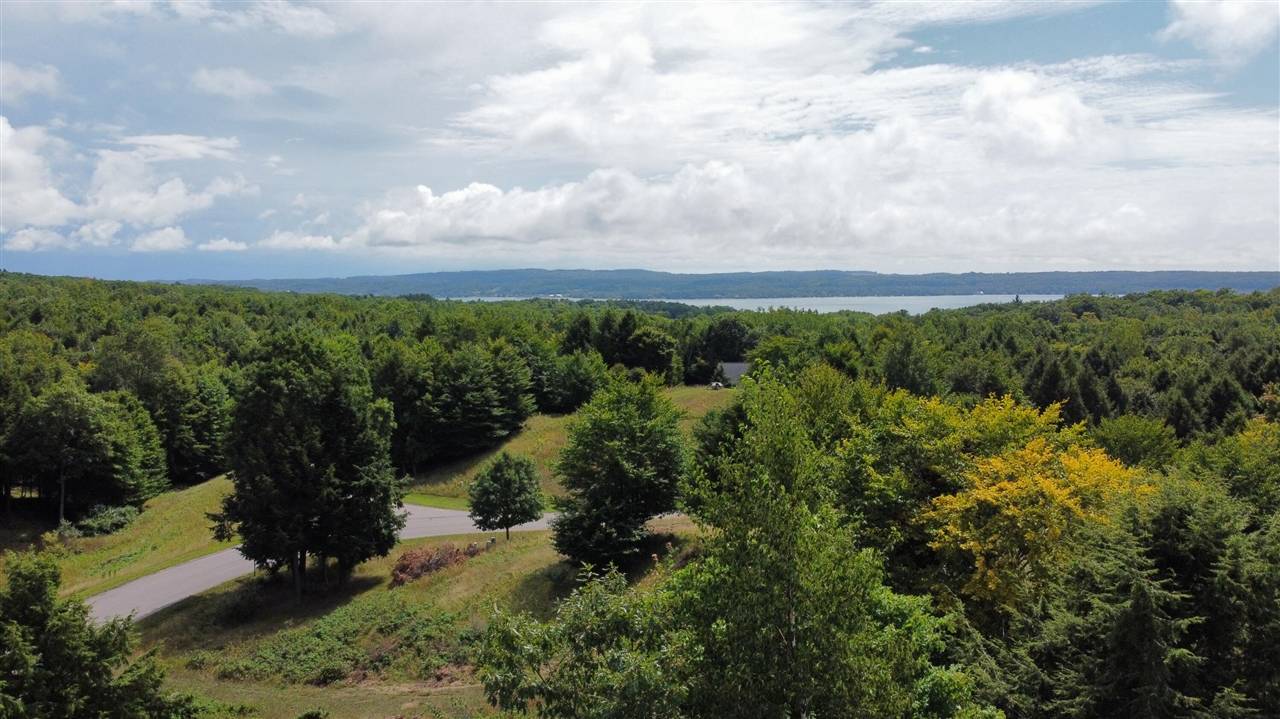 Onekama, MI 49675,86 N Slope Drive